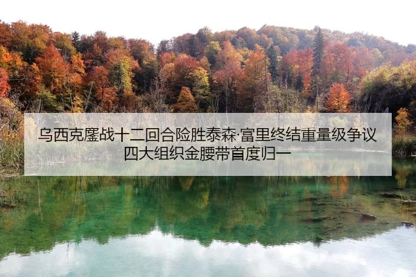 乌西克鏖战十二回合险胜泰森·富里终结重量级争议 四大组织金腰带首度归一